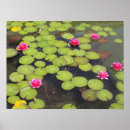 Search for padding posters Flowers