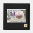 Search for hover magnets I can has cheezburger
