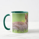 Search for cottontail rabbit mugs Animal