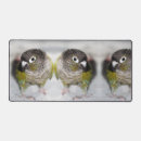 Search for conures mousepads Bird