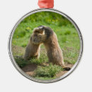 Search for prairie dog christmas tree decorations Marmot