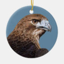 Search for hawk christmas tree decorations Falconry