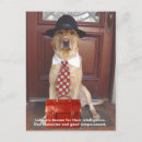 Search for lab” postcards Dog lover