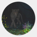 Search for black jaguar stickers Panther
