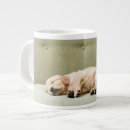 Search for golden retriever puppy mugs Domestic animals