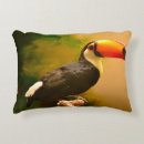 Search for toucan cushions Exotic birds