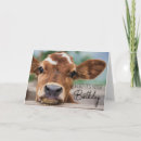 Search for funny farm cards Calf