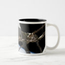 Search for dexterous mugs Canadarm2