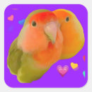 Search for bird face stickers Cute