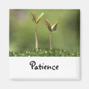 Search for patience magnets Spirit
