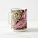 Search for cute pig mugs Farm