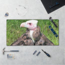 Search for prey mousepads Vulture