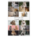 Search for maine calendars Maine coon cat
