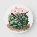 Search for cactus clocks Green