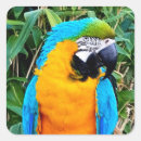 Search for macaw parrot stickers Nature