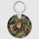 Search for old growth forest accessories Nature