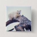 Search for jaws badges Wildlife