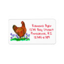 Search for rhode Hen