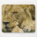 Search for game reserve mousepads Animal