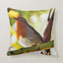 Search for red robin gifts Photography