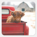 Search for pickup truck stickers Country