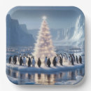 Search for penguin plates Arctic