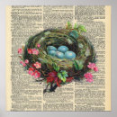 Search for antique bird nest posters Eggs