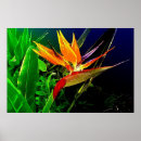 Search for fantasy paradise posters Plants