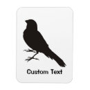 Search for canaries magnets Yellow