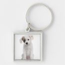 Search for animal crossing key rings Nature
