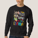 Search for no prob llama Teacher