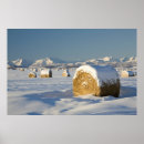 Search for bale posters Outdoors