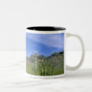 Search for national monument mugs Landscape