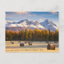 Search for bale photography Usa