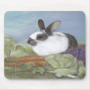Search for rabbit lover electronics Easter