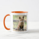Search for wild fox mugs Forest