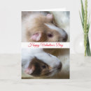 Search for pig valentines day cards Pets