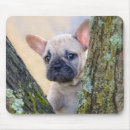 Search for bully mousepads Puppy