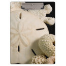 Search for hopkins Coral