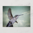 Search for angel wings postcards Nature