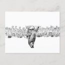 Search for symphony orchestra postcards Conductor