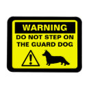 Search for corgis magnets Funny