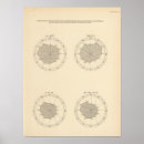 Search for 1900 posters States
