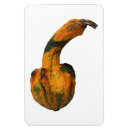 Search for gourd magnets Fruit