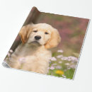 Search for retriever gift wrap Puppy