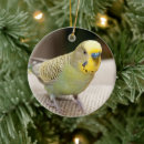 Search for cockatiel christmas tree decorations Cute