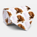 Search for golden retriever ties Pet