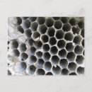 Search for hive postcards Honeycomb