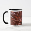 Search for antelope canyon mugs Rock