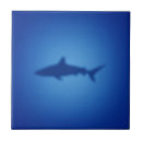 Search for shark tiles Sea